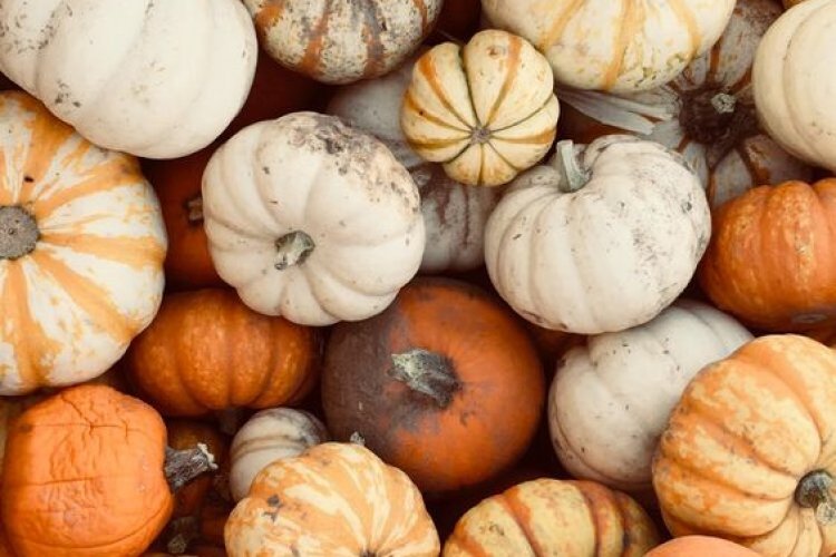 MEVSİMİNDE BALKABAĞI ÇORBASI TARİFİ